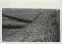 Farm of Jody Doyle.