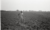 Shirtless Man in Hat and Overalls Stands in Clover Field