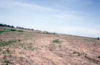 Photograph Collection Of A Man On A Tractor 