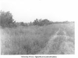 Elberon Junction, Iowa. MILW