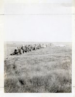 Tractors  Carry Men on Flatbed Trailers