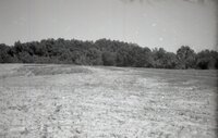 Grassy fields near trees<br /><br />
