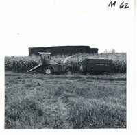 John Kramer chopping silage, 1968