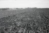 Unidentified Black and White Negatives from Soil Conservation Service taken in 1979