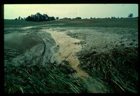 Flood Damage.