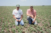 Quad District Award winners Steve and Tim Lundsgaard show off their no-till, drilled bean field.