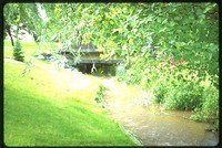 Waterway on Robert McGinnis' Farm.