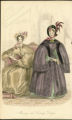 Morning and Carriage Dresses