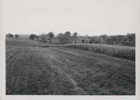 Landscape of Kniffin and Associated soils.