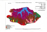 Pre-Project Holiday Lake Watershed Land Use Map, 2006