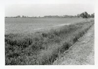 1980s - Results of too much rain