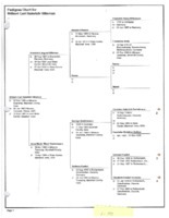 Wilbert Hilleman and Johanna Hamman Family History