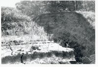 1964 - Structure Failures