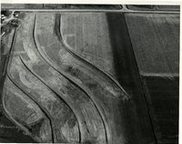 Terraces, 1966