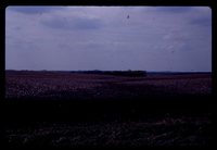 Drainage Waterway on the Jaquith Farm.