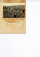 1934 - 1938 Multi-State Photograph Collection  