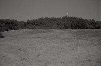 Grassy fields near trees<br /><br />
