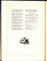 1917 Yearbook