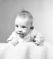 John Robbins