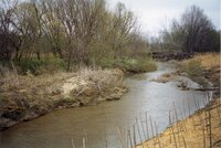 1999 Flint Creek Work Day  on Richard Osborn's property