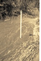 Tall Drainage Pipe Stands in Water