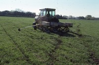 No-till and residue test in sod.