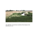 Wendell Beattie Farm