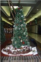 Christmas Tree displays