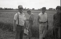 Man with hat, sunglasses, and beard in grassy field