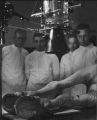 X-ray being taken of draft horse, 1936