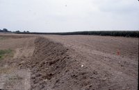 Bulldozed earth near gravel road