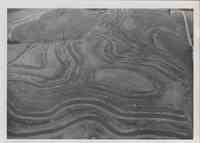 Aerial View of Contoured Farmland with road up in right hand corner