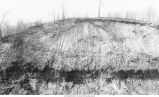 Peat and forest bed of Sangamon, interglacial interval, underlain by Illinoian Drift, overlain by Iowan loess and Wisconsin Drift east of Peoria, Ill., late 1890s or early 1900s