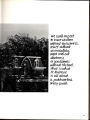 1977 Yearbook
