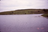 Lundquist farm pond and wildlife areas.