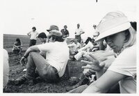 Crowd at outdoor no-till demonstration