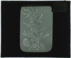 Plant drawing
