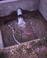 Drop inlet (riser) on the Bumann farm.