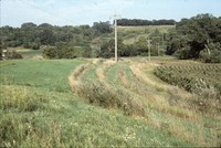Wildlife plantings on the farm of Bud and Dorothy Stiles.
