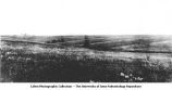 Branch of erosional lines on the dissected Kansan Drift Plain, Afton, Iowa, early 1890s or late 1900s