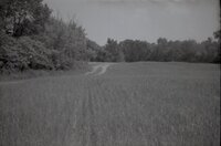 1995 Fields with tire tracks 