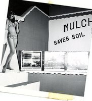 Mulch tillage