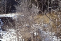 Winter gully.