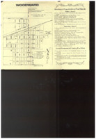 Woodward Centennial Brochure
