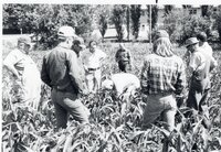 1978 Group in No-till corn tour