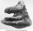 Pleistocene Fauna, Mammut americanum Kerr, Mastodon americanus of authors, 6th molar, well worn, side view, late 1890s or early 1900s