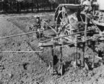 Four-row corn planter, 1931