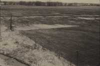 Flooding on Ray Kershner's farm.