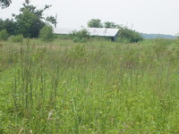 2007 Jack Strawhacker photos of grasses