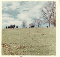 Gerlach pasture in November, 1968
